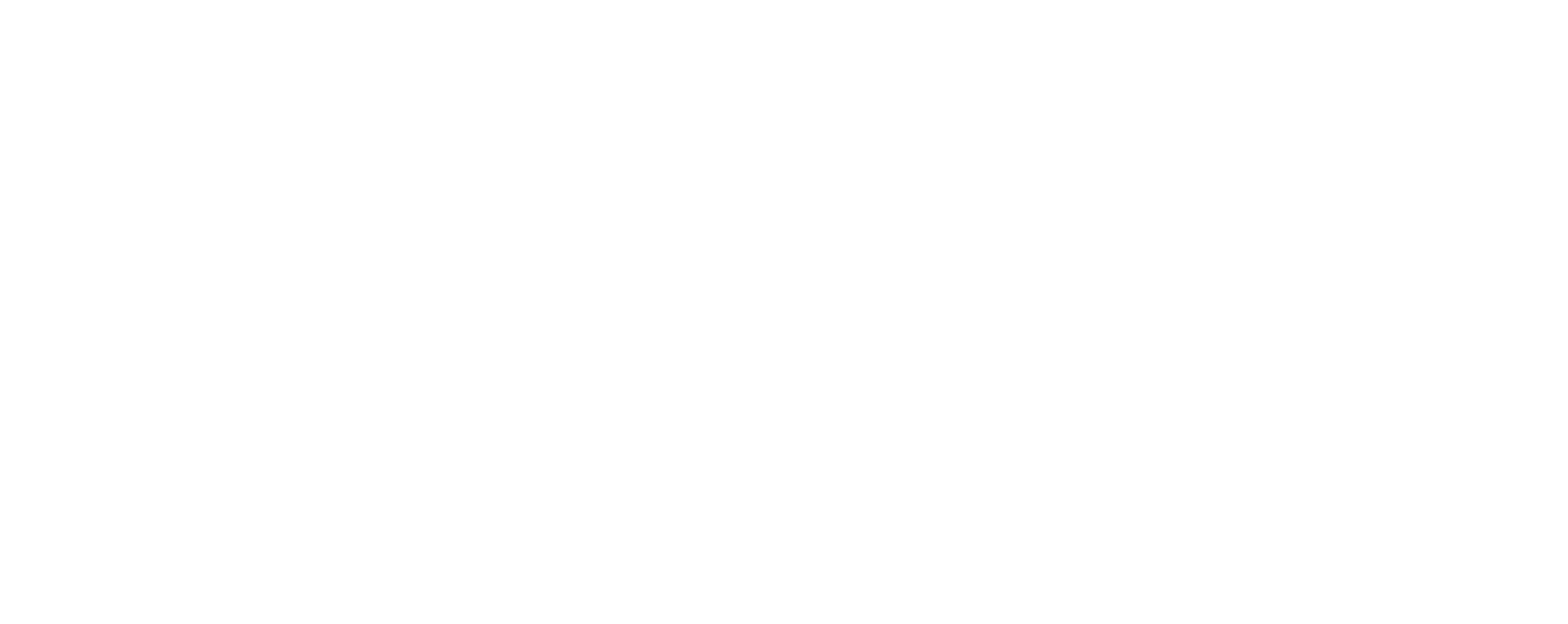 Balondolozi Investment Services